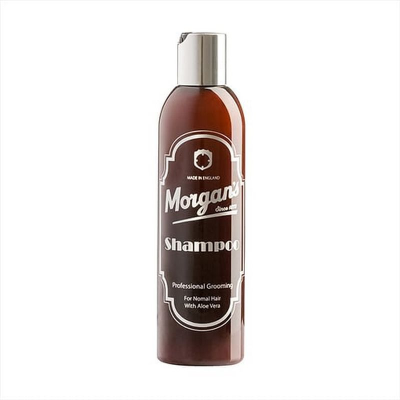 Shampoing Spécial Cheveux Gris - Morgan's