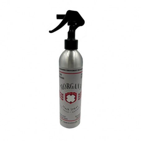 Spray Coiffant Tenue Forte Effet Naturel