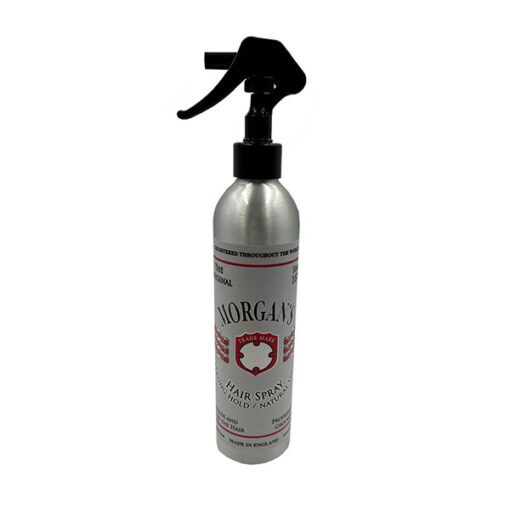 Spray Coiffant Tenue Forte Effet Naturel