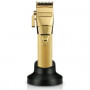 Tondeuse de Coupe GOLD FX 4Artists 8700GE