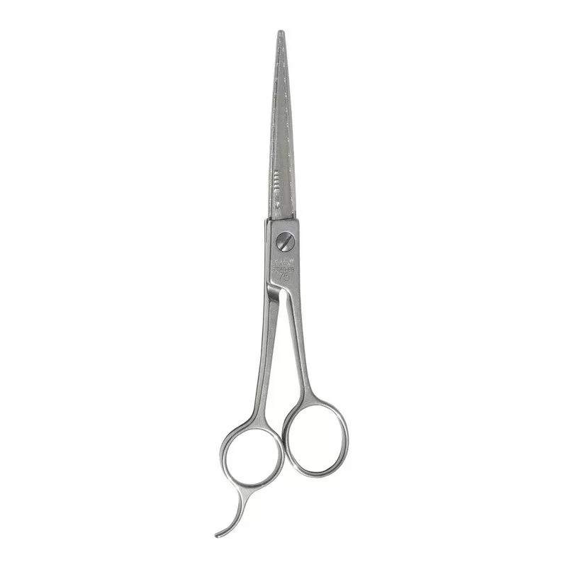 Ciseaux de coiffure à Lames Remplaçable N°75